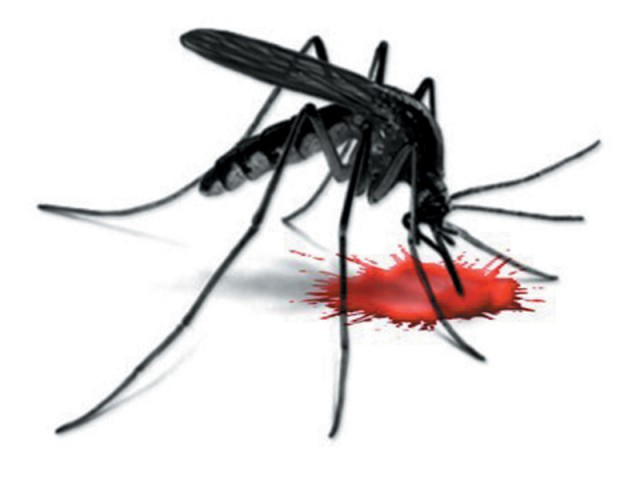Dedetização de Dengue